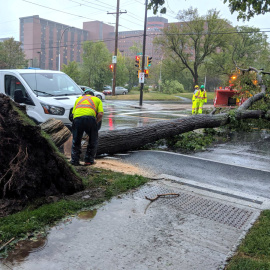 Dorian ha provocado numerosos daños a su paso por Halifax (Canadá) como la caída de árboles, grúas y cortes de luz. /REUTERS