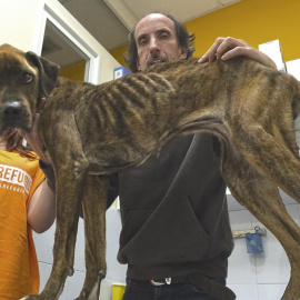 Estado de Tanita cuando llegó a El Refugio. EL REFUGIO