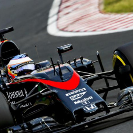 El piloto español Fernando Alonso.- EFE