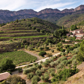 Celler Scala Dei, Priorat