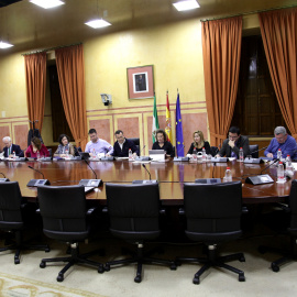 El Grupo de Trabajo sobre financiación autonómica del Parlamento de Andalucía, al inicio de su reunión.