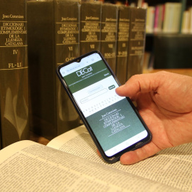 El diccionari etimològic de Joan Coromines ja es pot consultar en línia