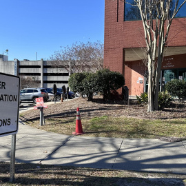 Elecciones demócratas Carolina del Sur