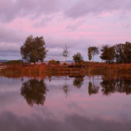 La laguna de El Cañizar ha llegado a albergar ejemplares de 200 especies de aves, la mayoría acuáticas, en unas tierras que cultivan varios centenares de vecinos de la zona. SEO-BIRDLIFE Aragón