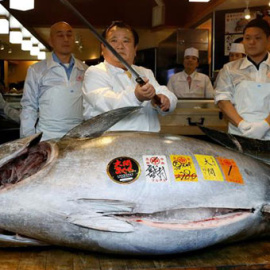 El atún rojo fue vendido por un precio récord de 2,7 millones de euros en la lonja de Tokio. / EFE