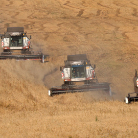 Cosechadoras de trigo en la aldea de Ogur, en la región de Krasnoyarsk, Rusia.- REUTERS / Naymushin