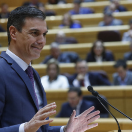 31/01/2023.- El presidente del Gobierno, Pedro Sánchez, interviene en el pleno del Senado, este martes en Madrid. EFE/ Zipi