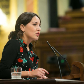 Ana Marcello, diputada de Unidos Podemos. CONGRESO