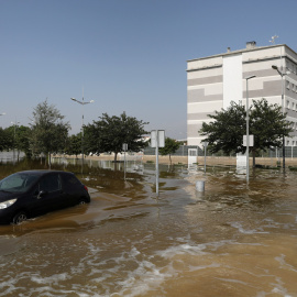 Un coche flota en el agua que ha inundado el municipio de Dolores, Alicante. (REUTERS/Susana Vera)