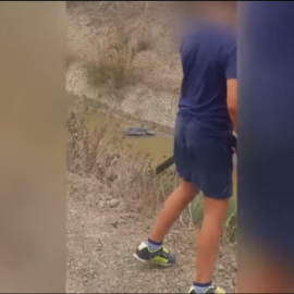 El chaval de nueve años después de matar a un ave alentado por su padre | Youtube del 'Diario de Sevilla'