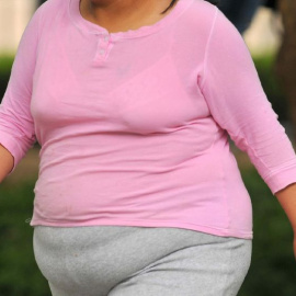 Mujer embarazada con obesidad. EFE