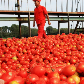 Del tomate comunista al marxismo neoliberal