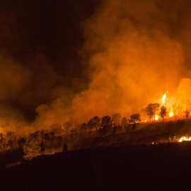 Imagen del incendio forestal en el Cañón de Almadenes, uno de los tres focos activos en la localidad murciana de Cieza. EFE/Marcial Guillén.