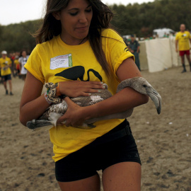 Más de 450 personas, entre científicos, anilladores, conservacionistas y voluntarios ambientales han participado en el anillamiento. REUTERS / Jon Nazca