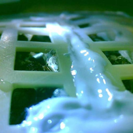 Imagen que muestra el brote de una semilla de algodón como parte de uno de los experimentos de la sonda Chang'e 4, la primera en alunizar en la cara oculta del satélite en la historia de la exploración espacial, el 7 de enero de 2019. (EFE/