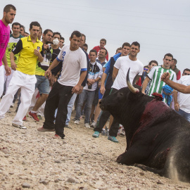 Imagen de la muerte del toro 'Elegido', en el Tornero del Toro de la Vega de 2014. PACMA