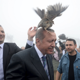 Un urogallo se posa en la cabeza del presidente turco, Tayyip Erdogan, cuando visita una instalación del Ministerio de Bosques y Gestión de Agua en Rize, Turquía, 14 de agosto de 2015. REUTERS / Stringer,
