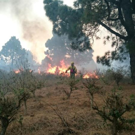 La Asociación de Trabajadores de las Brigadas de Refuerzo contra Incendios Forestales (BRIF) participando en las labores de extición del incendio forestal en la isla de Palma. EFE