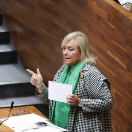 Dimite la presidenta del PP de Asturias, Mercedes Fernández. / EFE - José Luis Cereijido