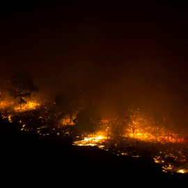 El incendio de la Palma ha afecta a más de 4.000 hectáreas. REUTERS/Borja Suarez