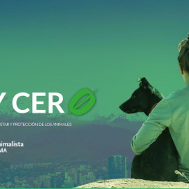 Ley Cero, Ley General de Bienestar y Protección de los Animales. PACMA
