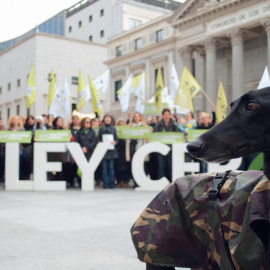 Manifestantes de Pacma frente a las puertas del Congreso. PACMA