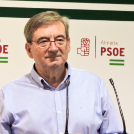 Fernando Martínez, secretario de Memoria Histórica del PSOE. EFE