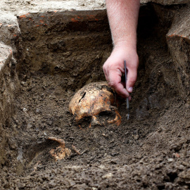 Un arqueólogo desentierra uno de los esqueletos hallados en las inmediaciones de una planta de carbón en Kostolac, Serbia. REUTERS/Djordje Kojadinovic