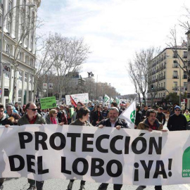 Manifestación en Madrid convocada por las organizaciones Lobo Marley, Equo, Ecologistas en Acción, WWF y la Alianza Europea para la Conservación del Lobo, con el apoyo de 200 entidades ecologistas y animalistas de España. | ZIPI (EFE)