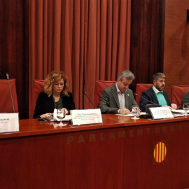 22/01/2019.- Comisión de investigación del Parlament sobre el 155. EUROPA PRESS