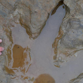 Una de las huellas de dinosaurio descubierta en Alemania.