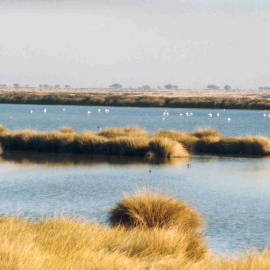 Lagunas de El Acebuche, en la zona de marismas del Parque Nacional de Doñana. WIKIPEDIA