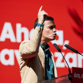 Pedro Sánchez, a la Festa de la Rosa del PSC. EFE / Alejandro García