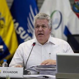 El vicecanciller ecuatoriano, Leonardo Arízaga, cuyo país ejerce actualmente la presidencia protémpore de la Celac. / JOSÉ JÁCOME (EFE)