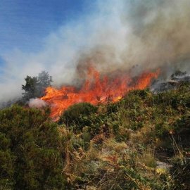 Fotografía facilitada por la Asociación Natura 2000, que considera que la existencia de varios focos en el incendio de la Garganta de los Infiernos del Valle del Jerte (Cáceres), que ha arrasado el collado de las Yeguas y la umbría de la Re