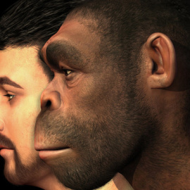 Representación de Homo erectus junto a un Homo sapiens. / Fotolia