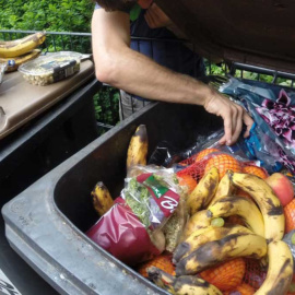 Comida en la basura.