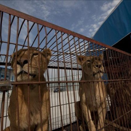 La Comunitat Valenciana se convierte en la sexta comunidad española en implantar esta prohibición./EFE