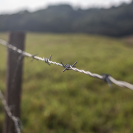 La ausencia del Estado colombiano en las zonas que han desocupado las FARC marca la realidad