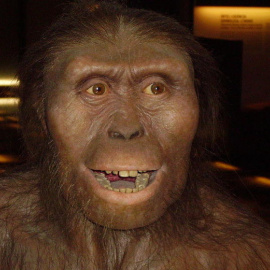 Reconstrucción de Lucy, la australopithecus afarensis.