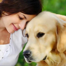 Los perros entienden qué les decimos y cómo se lo decimos. EFE