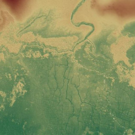 Imagen del antiguo sistema de campo de humedales mayas de Birds of Paradise y partes de otros cercanos como Gran Cacao (izquierda) y Akab Muclil (derecha) al noroeste de Belice. / T. Beach et al. (University of Texas at Austin, Austin, Texa