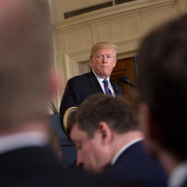 Donald Trump, en Washington. / EFE