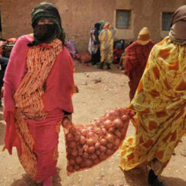 Marruecos está explotando de una manera intensiva el potencial agrario del Sáhara ocupado para exportar a Europa esa producción. / Comisión Europea