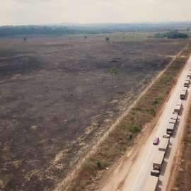La larga hilera de camiones entrando en la zona de Pará (Brasil), camino del Puerto de Itaituba. / Igualdad Animal
