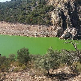 Agua verde en Tajo./Santiago M.Barajas