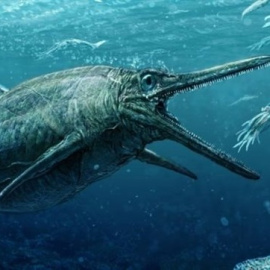 Este monstruoso deprededador del Jurásico, vivió hace 170 millones en la escocesa Isla de Skye. Todd Marshall