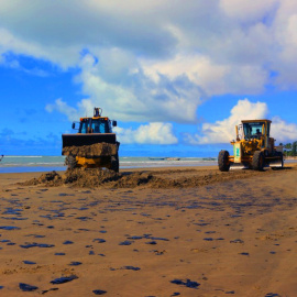 Trabajos de limpieza en la playa de Pontal do Peba, en el municipio de Piaçabuçu, en el estado brasileño de Alagoas. COMUNICACIÓN PIAÇABUÇU
