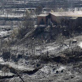 Zona arrasada por el incendio originado el domingo entre Xàbia y Benitatxell (Alicante)/EFE