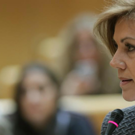 La ministra de Defensa, María Dolores de Cospedal, en el Senado. | ZIPI (EFE)